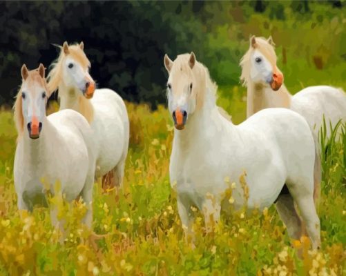 White Group Of Horses Paint By Numbers