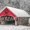 Winter Covered Bridge Paint By Numbers