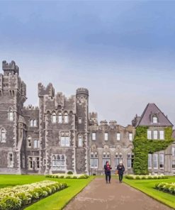 Ashford Castle Ruins Paint By Numbers