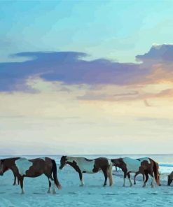 Assateague Island Paint By Numbers