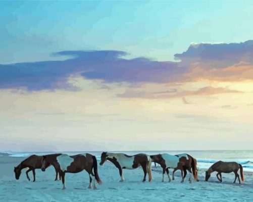 Assateague Island Paint By Numbers