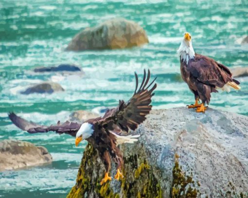 Bald Eagles Birds On The River Paint By Numbers