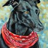 Black Greyhound Dog Paint By Numbers