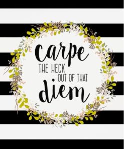 Black And White Carpe Diem Quote Paint By Numbers