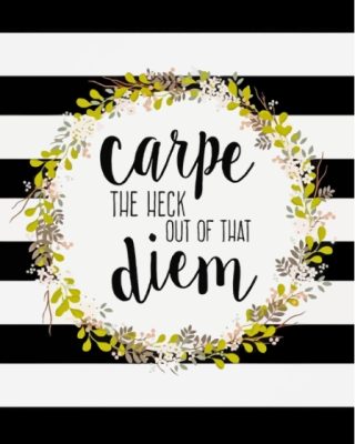 Black And White Carpe Diem Quote Paint By Numbers