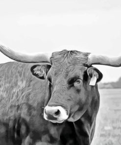 Black And White Longhorn Cow Paint By Numbers