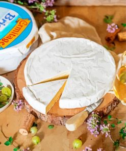 Brie Cheese Paint By Numbers