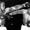 Cassius Clay And Sonny Liston Paint By Numbers