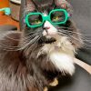 Cat With Glasses Paint By Numbers