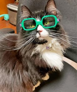 Cat With Glasses Paint By Numbers