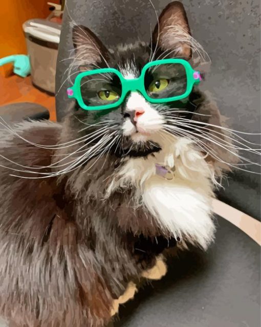 Cat With Glasses Paint By Numbers