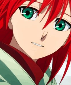 Chise Hatori Character Paint By Numbers