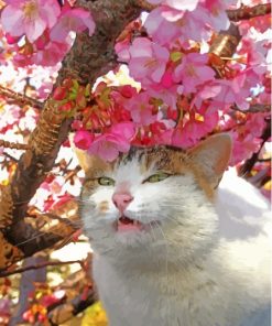 Cute Cat In Cherry Tree Paint By Numbers