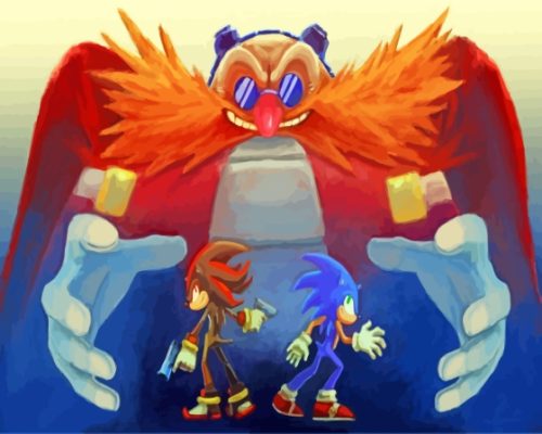 Dr Eggman Sonic And Shadow The Hedgehog Art Paint By Numbers