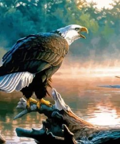 Eagle On Tree By The River Art Paint By Numbers