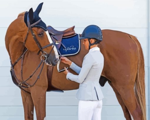 English Riding Horse Paint By Numbers