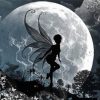 Fairy Moon Silhouette Paint By Numbers