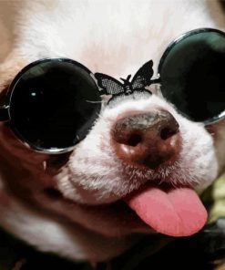 Funny Chihuahua With Glasses Paint By Numbers