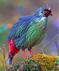 Green And Red Blood Pheasant Paint By Numbers