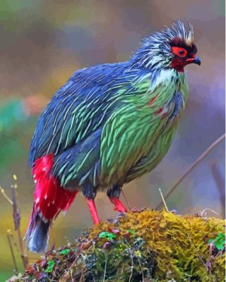 Green And Red Blood Pheasant Paint By Numbers