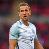 Harry Kane Paint By Numbers