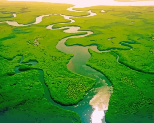 Mangrove Forest In Gambia Paint By Numbers