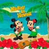 Mickey And Minnie In Hawaii Paint By Numbers