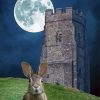 Moon Hare Art Paint By Numbers