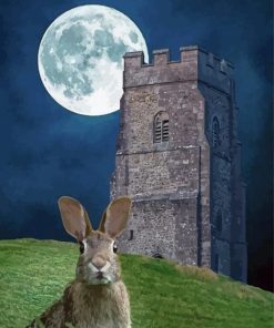 Moon Hare Art Paint By Numbers