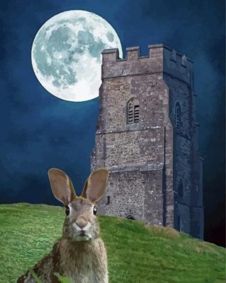 Moon Hare Art Paint By Numbers