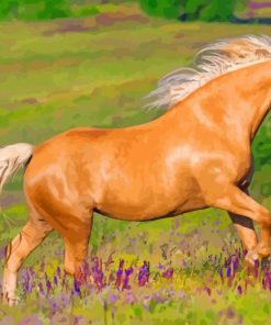 Palomino Horse Paint By Numbers