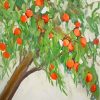 Peach Fruit Tree Paint By Numbers