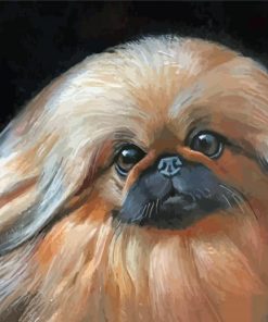 Pekingese Art Paint By Numbers