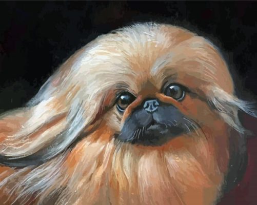 Pekingese Art Paint By Numbers