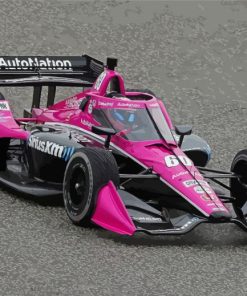 Pink Indycar Paint By Numbers