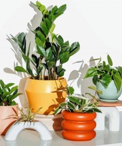 Plants In Colorful Vases Paint By Numbers