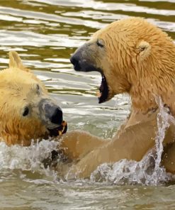 Polar Bears In Water Paint By Numbers