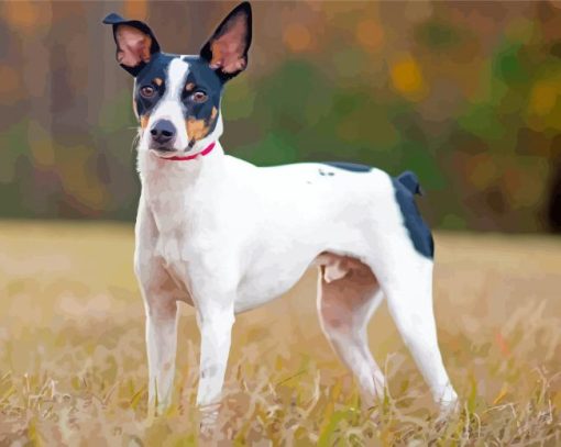 Rat Terriers Paint By Numbers