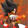 Shadow The Hedgehog Paint By Numbers