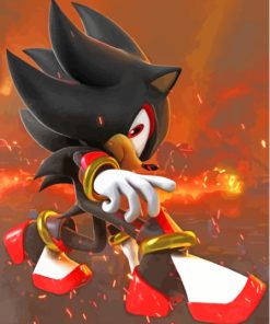 Shadow The Hedgehog Paint By Numbers