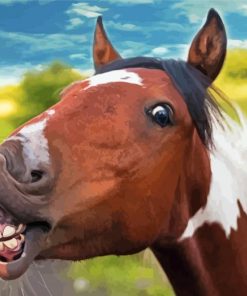 The Goofy Horse Paint By Numbers