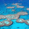 The Great Barrier Reef Australia Paint By Numbers