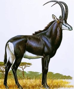 The Sable Antelope Paint By Numbers