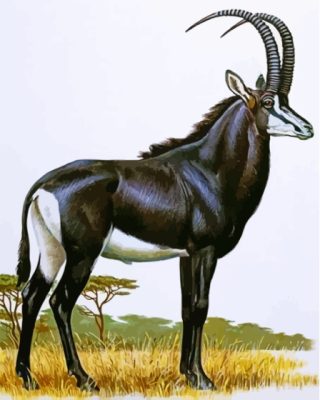 The Sable Antelope Paint By Numbers