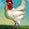 White Rooster Bird Paint By Numbers