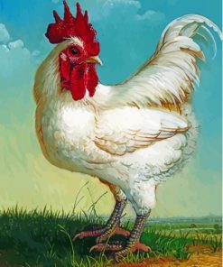 White Rooster Bird Paint By Numbers