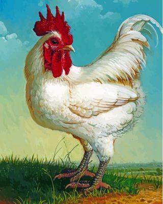 White Rooster Bird Paint By Numbers