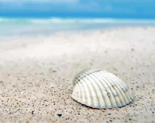 White Shell On Beach Sand Paint By Numbers