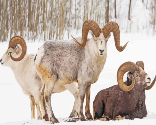 Wild Bighorn Sheep In Winter Paint By Numbers