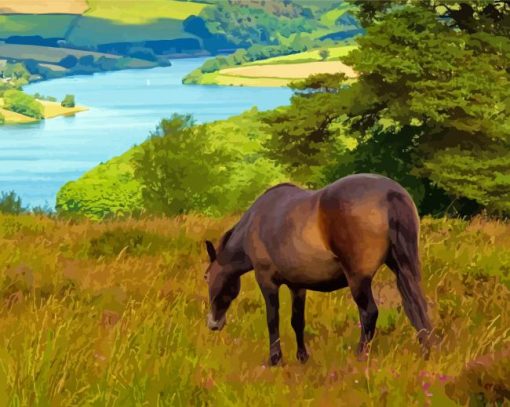 Wimbleball Nature Scene Paint By Numbers